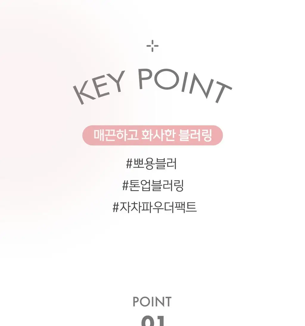 [톤보정파우더] 루나 프로 포토 피니셔 블러 파우더 팩트 4colors (단품/기획) 상세페이지 11